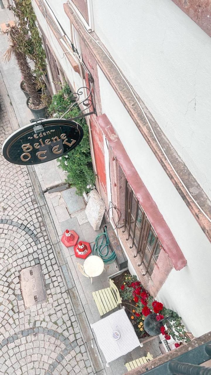 伊甸塞勒涅酒店 Ayvalı 外观 照片